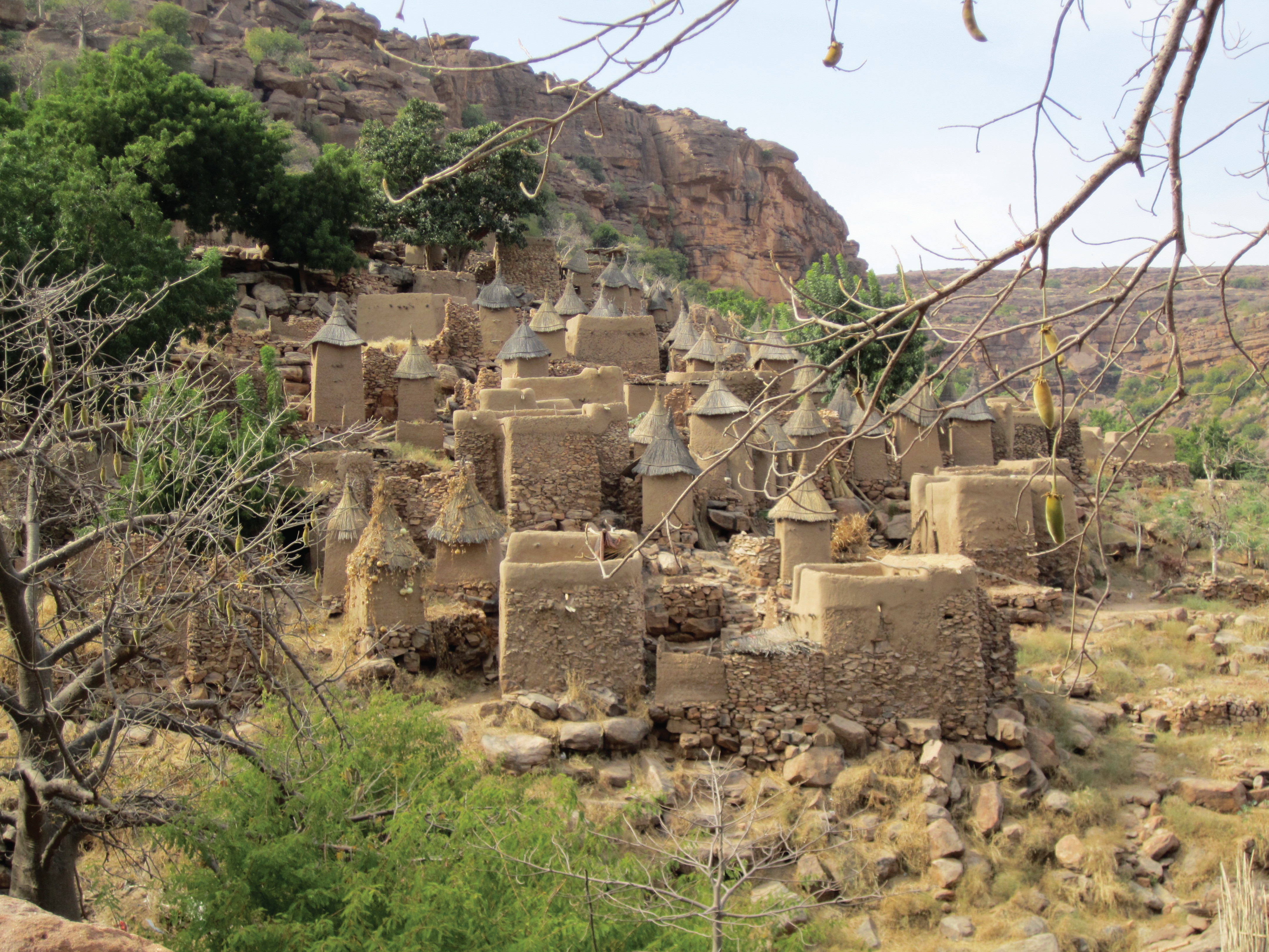 Village in Mali where researchers work