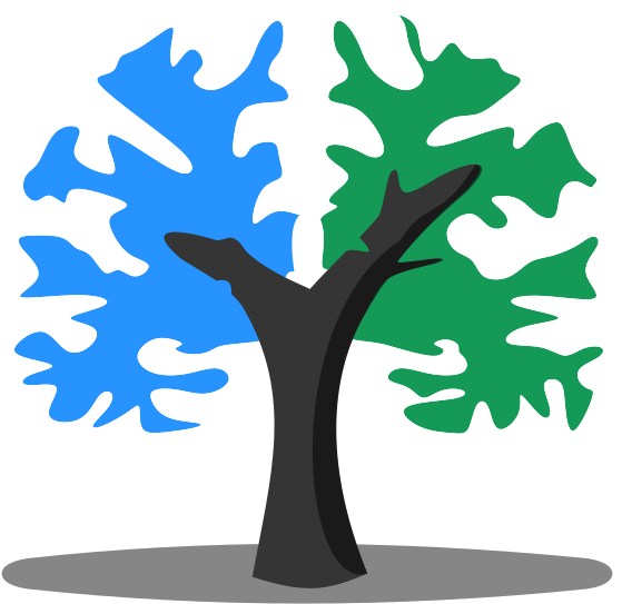 Brainlife.io Logo