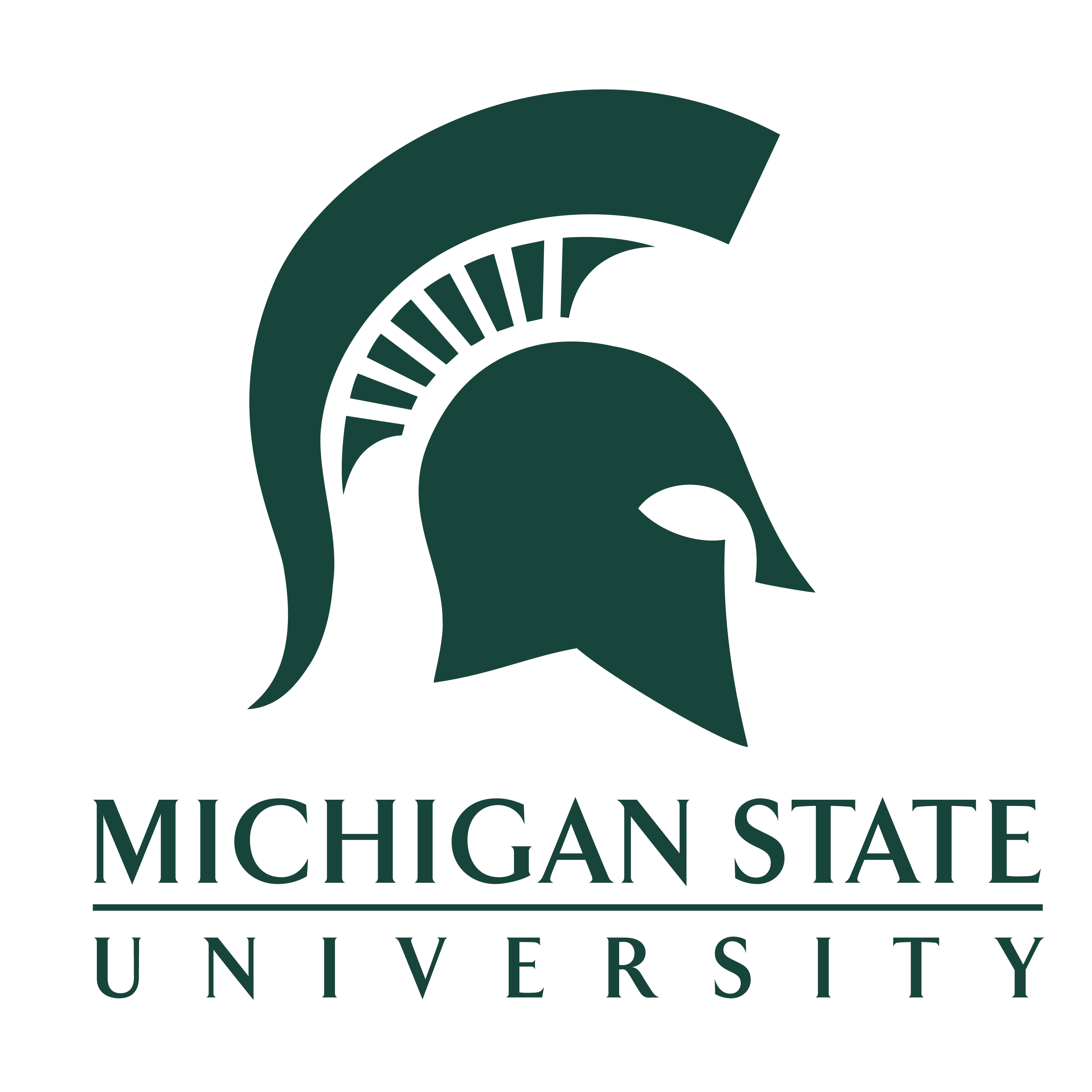 Collaborator: Michigan State University